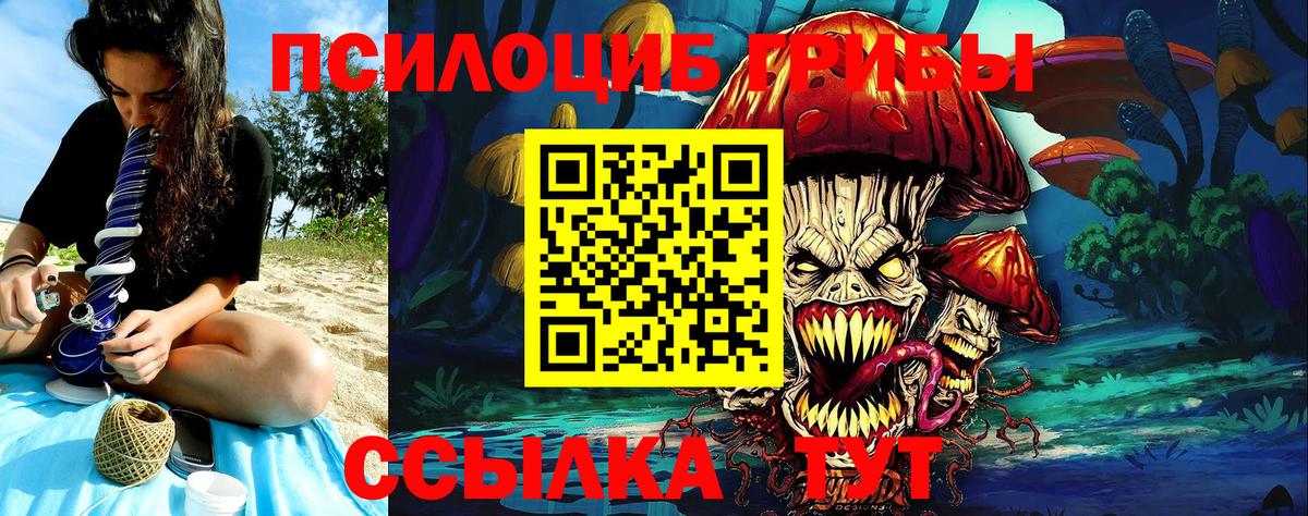 Галлюциногенные грибы GOLDEN TEACHER Донецк